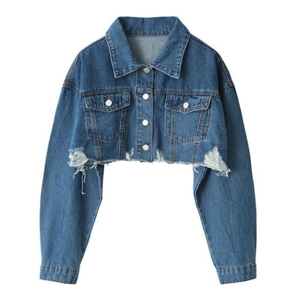 Denim Street Cropped Jacket